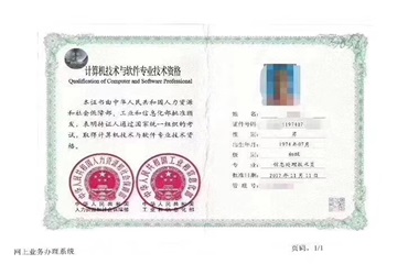 計算機技術與軟件專業技術資格(水平)考試